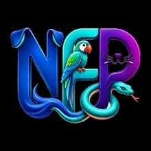 NetForPet