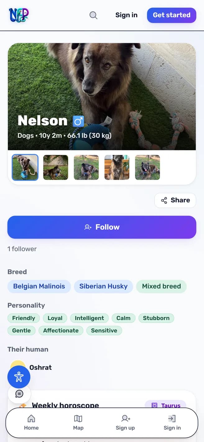 Guti's profile on NetForPet