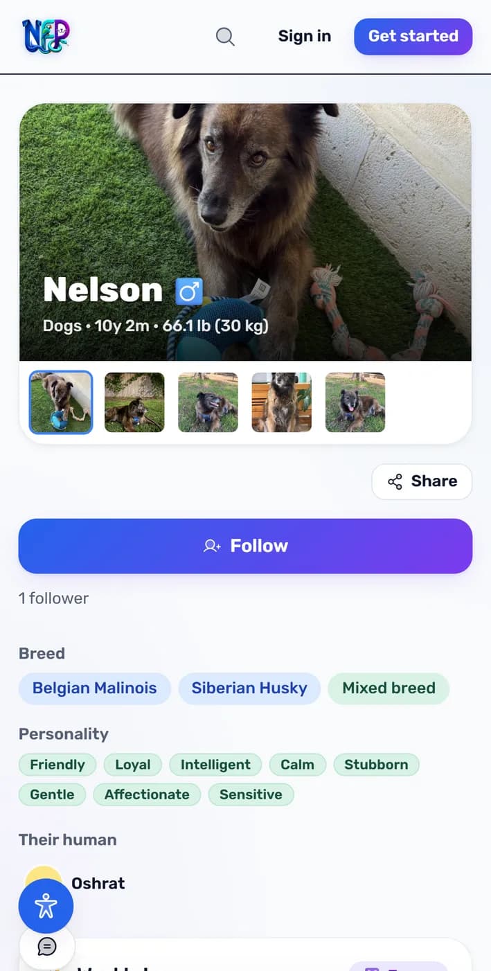The pet profile