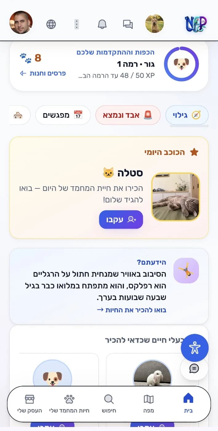 מסך הגילוי