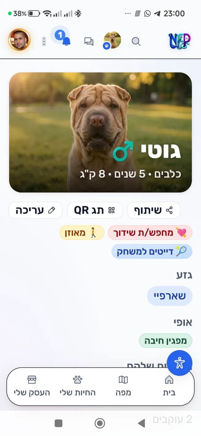 הפרופיל של גוטי ב-NetForPet