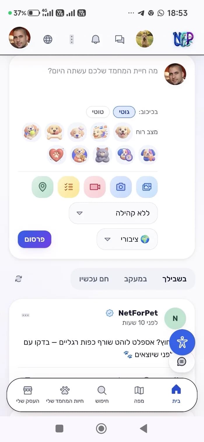 פרסום פוסט